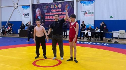 Борцы Лаишевского района выступили в Заинске