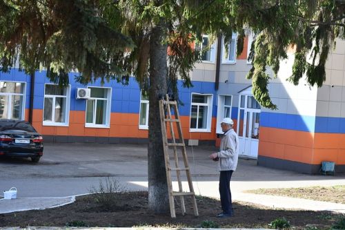 Лопаты, грабли, метлы — главные орудия общегородского субботника в Лаишево