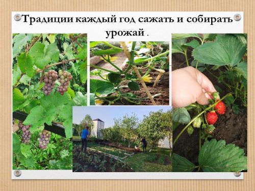 О дружной семье Киселевых из Ташкирмени рассказывает Андрей Киселев