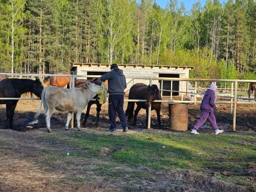 Конкурс «Наша дружная семья». Представляем семью Скворцовых из Лаишева