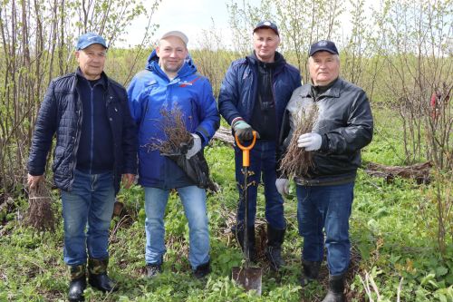 В Лаишевском районе проходит международная акция «Сад памяти»