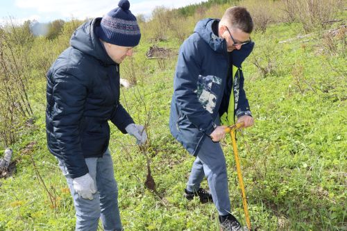 В Лаишевском районе проходит международная акция «Сад памяти»
