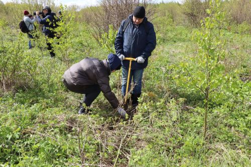 В Лаишевском районе проходит международная акция «Сад памяти»