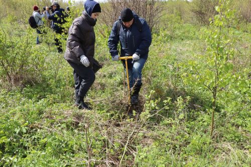 В Лаишевском районе проходит международная акция «Сад памяти»