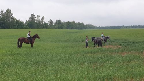 Сабантуй-2024 в Лаишеве начался с конных скачек