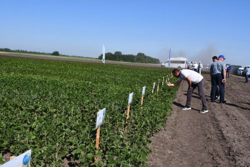 День аграрной науки — 2024 состоялся на базе Агробиотехнопарка и НИИ сельского хозяйства