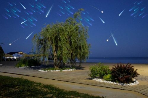 Желания на падающие звезды можно загадывать почти весь август