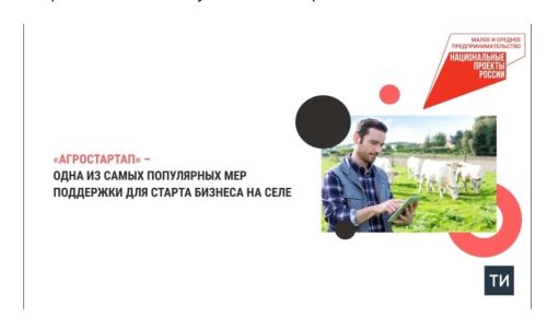 Благодаря нацпроекту на поддержку фермеров Татарстана в 2024 году выделили 369 млн рублей