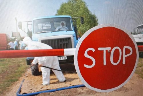 В Лаишевcком районе проходит операция «Дикий кабан»