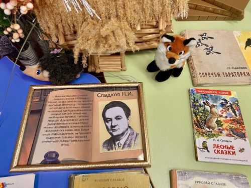 В Лаишевской детской библиотеке открылась книжная выставка