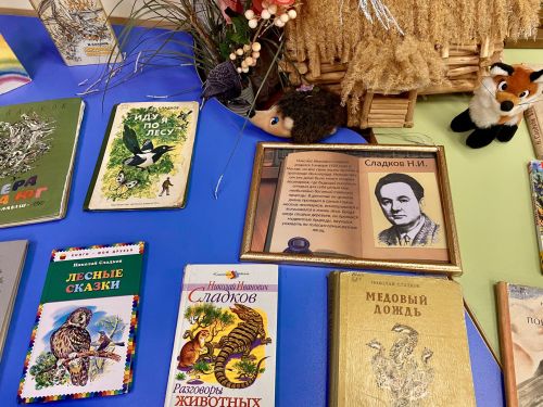 В Лаишевской детской библиотеке открылась книжная выставка