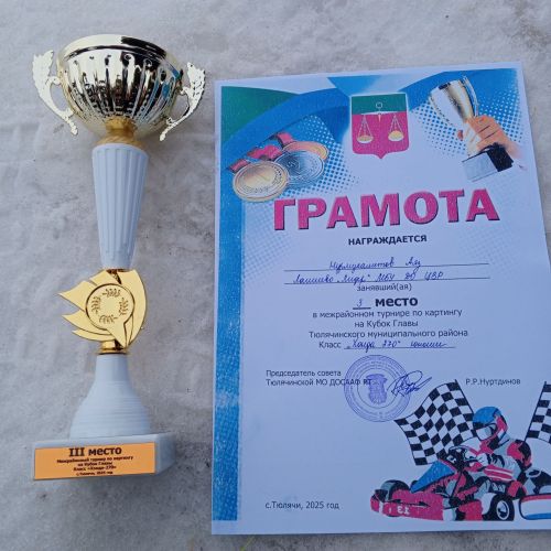 Картингисты из Лаишева вошли в тройку лидеров межрайонного турнира