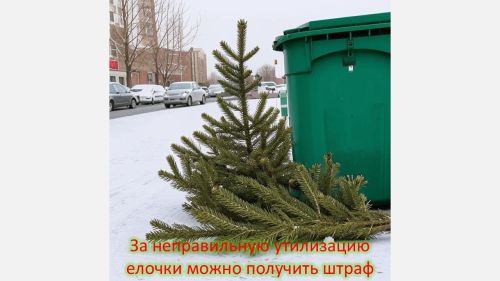 Куда деть новогоднюю елку
