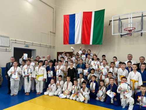 В первенстве Лаишевского района по дзюдо участвовало около 130 спортсменов
