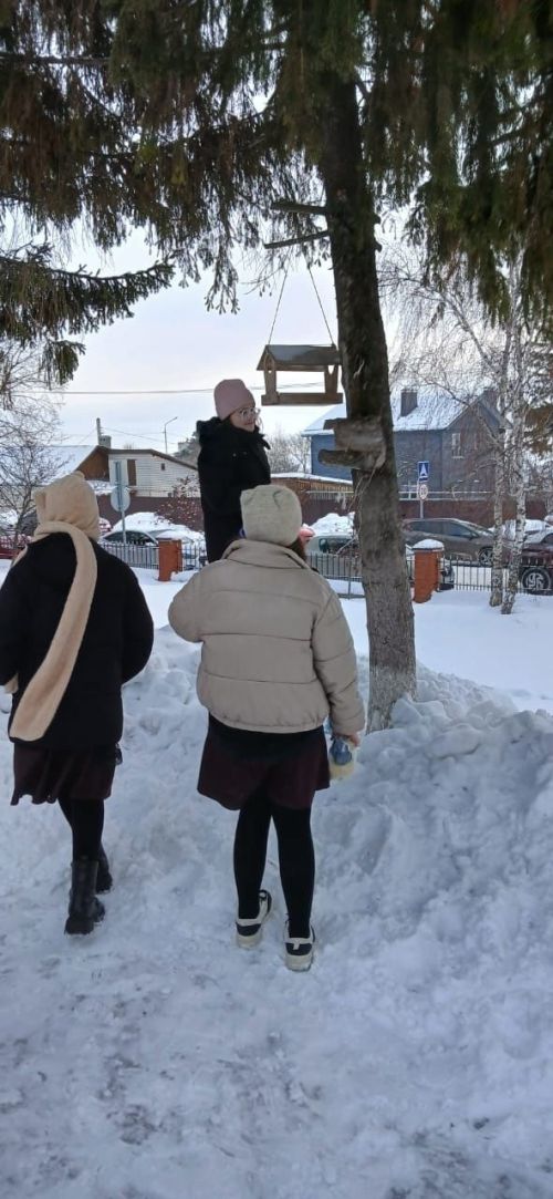 Лаишевские школьники провели акцию «Покорми птиц зимой»