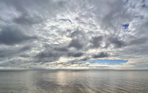 Роспотребнадзор проверил рыбу из Чёрного и Азовского морей