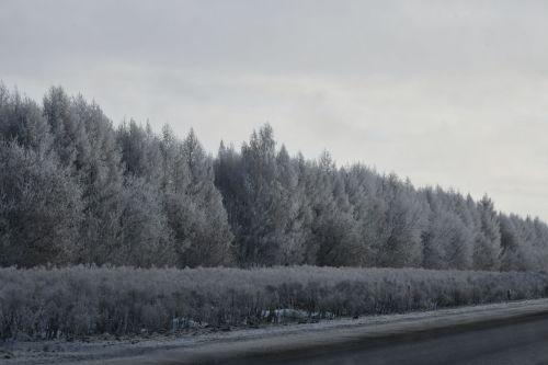 Зимы морозные узоры