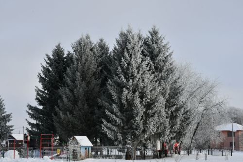 Зимы морозные узоры