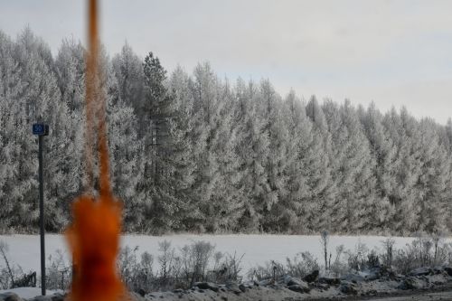 Зимы морозные узоры