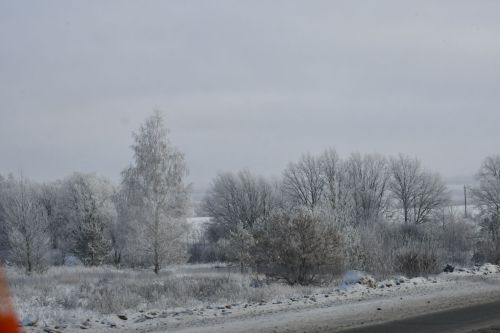 Зимы морозные узоры