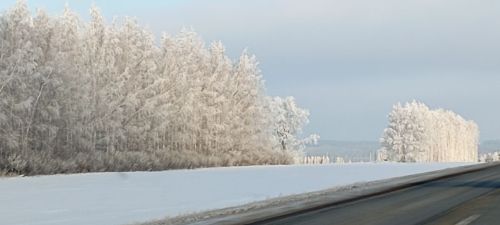 Зимы морозные узоры