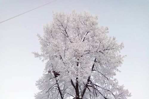 Зимы морозные узоры