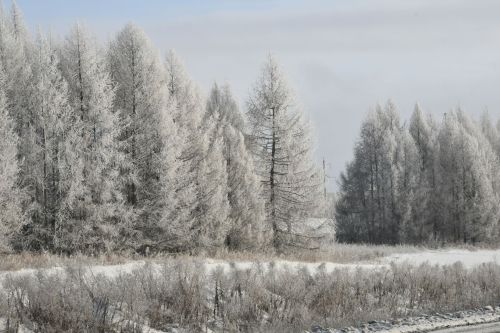 Зимы морозные узоры