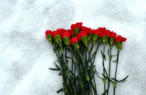 Участники «Движения Первых» стали «Хранителями истории»