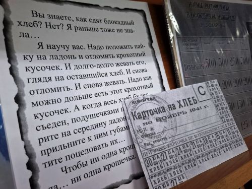 Патриотическая выставка «Непокорённый Ленинград» открыта в Лаишевской библиотеке