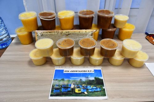 В Кирбинском сельском поселении живут талантливые люди