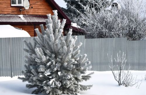 Погода на завтра, 5 января