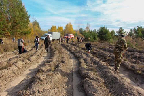 Леса Лаишевского района пополнились тысячами молодых саженцев