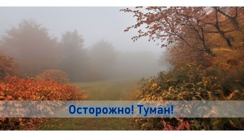 День холодный, пасмурный, туманный