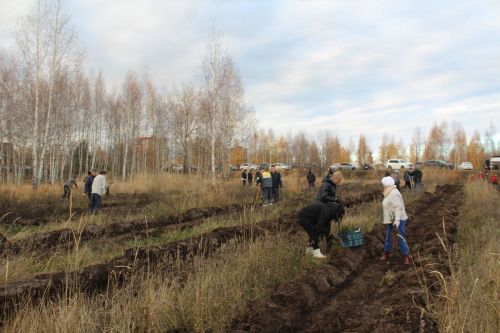 Лаишевцы высадили пять тысяч деревьев в память о погибших участниках СВО
