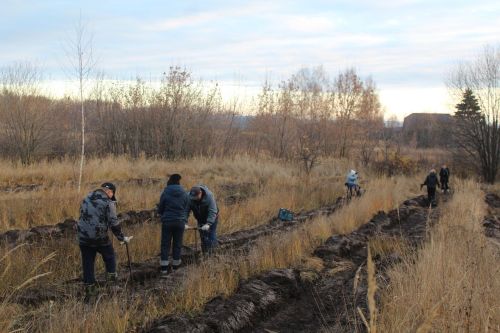 Лаишевцы высадили пять тысяч деревьев в память о погибших участниках СВО