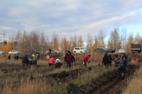 Лаишевцы высадили пять тысяч деревьев в память о погибших участниках СВО