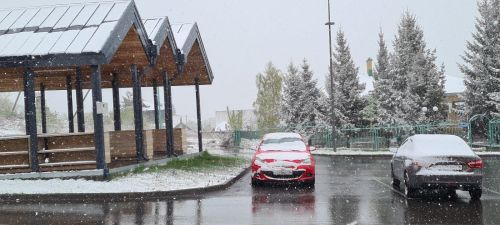 Жителей Лаишевского района предупреждают о сильном ветре