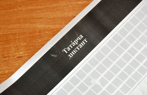 «Татарча диктант» писали взрослые и дети