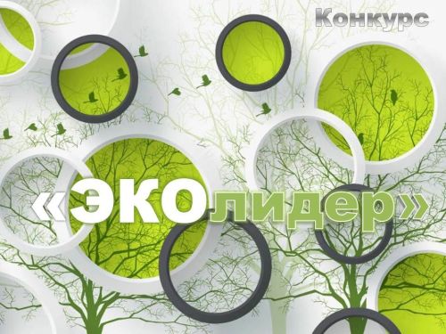 Продлен прием заявок на конкурс «ЭКОлидер»