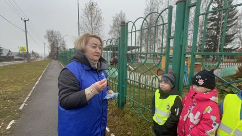 В Лаишево воспитанники детского сада «Берёзка» провели акцию памяти жертв ДТП