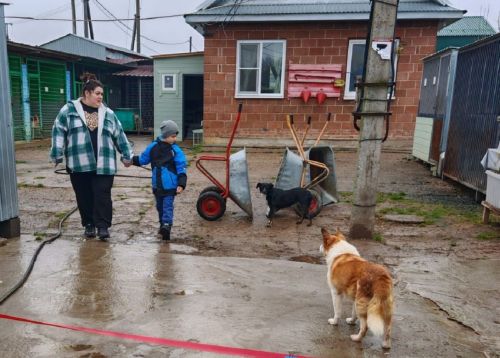 Юные зоозащитники Лаишевского района оказали помощь приюту для собак