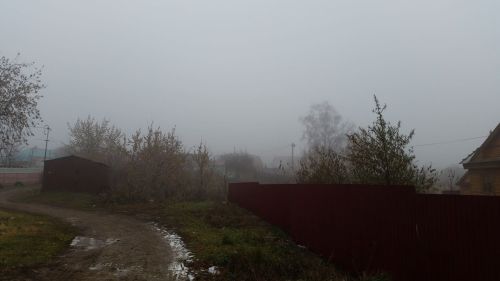 В Лаишевском районе ожидается усиление ветра до 18 м/с