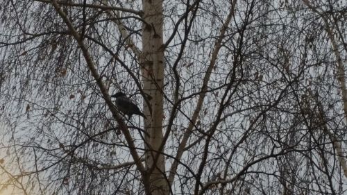 В среду в Лаишевском районе потеплеет, и пойдут дожди