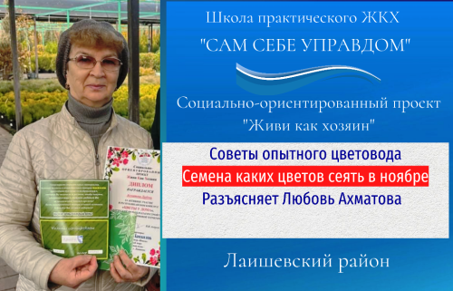 Советы от цветовода: Однолетники засыпают в ноябре, чтобы первыми проснуться весной