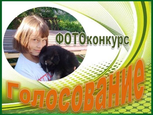 Продолжается финальное голосование за победителей ФОТОконкурса «Забавные питомцы» — 2025
