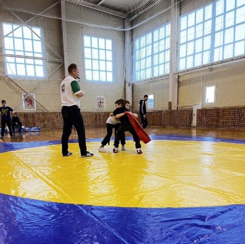 Борцы Лаишевского района приняли участие в соревнованиях в Рыбной Слободе