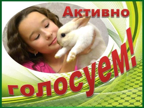 Меньше суток осталось до конца финального голосования в конкурсе «Забавные питомцы» — 2025