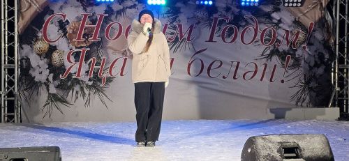 Главная елка Лаишевского района зажгла свои огни