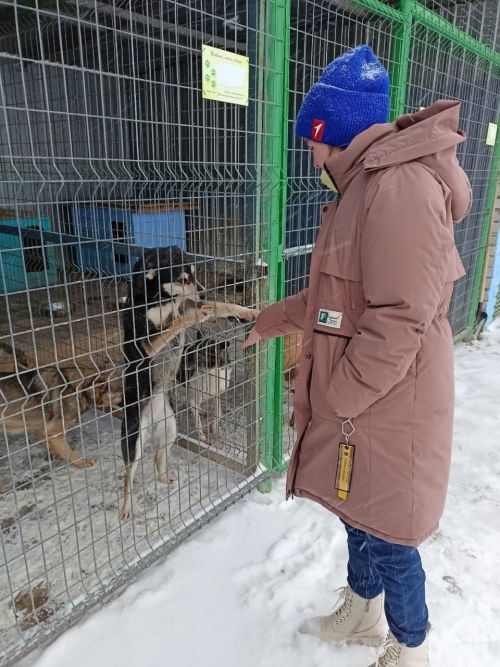 «Движение Первых» оказывает помощь приюту для животных в Лаишевском районе