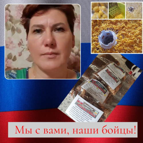 Фронт на кухне: как тепло домашнего очага согревает бойцов СВО